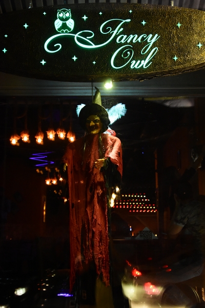 Fancy Owl on Saturday night 